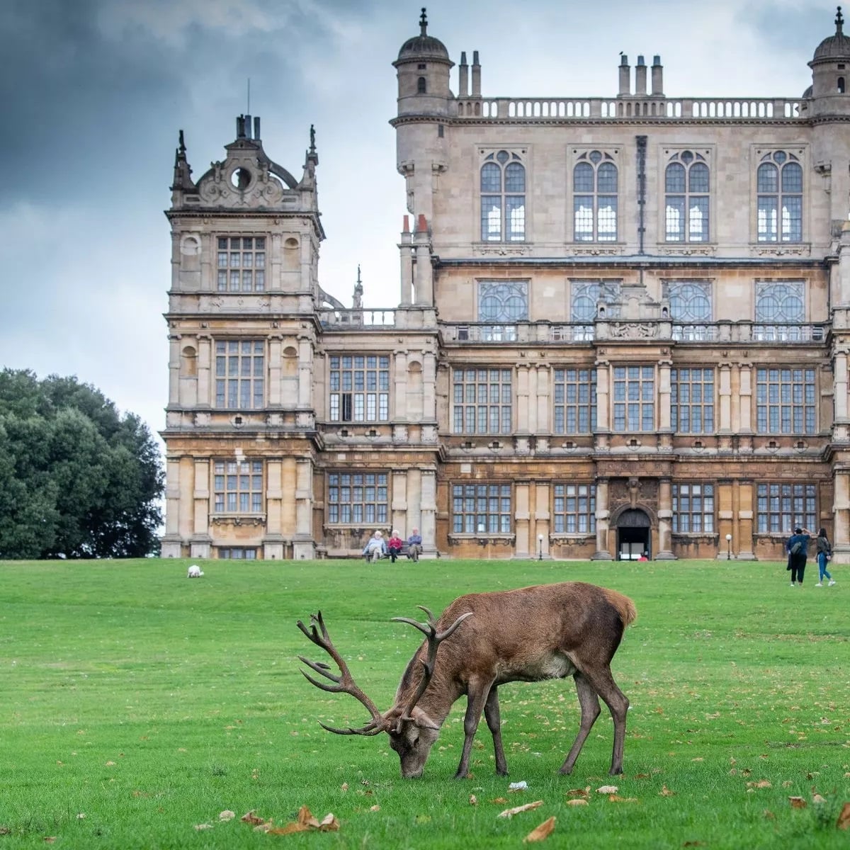 wollaton park 2